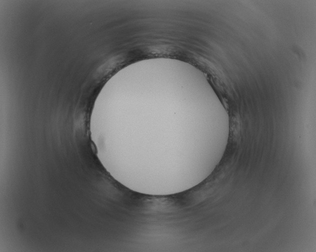 X0000116430428200912291912