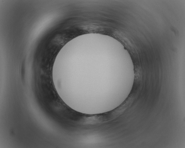 X0000116430430200912291912