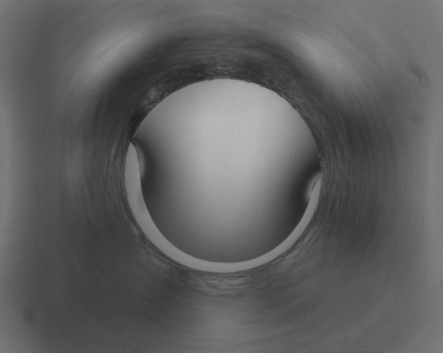 X0000116430431200912291912