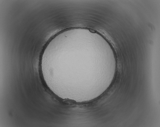 X0000116430434200912291911