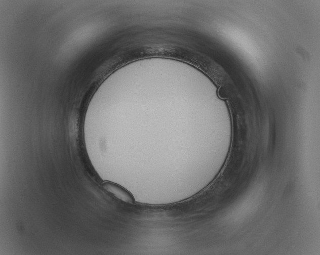 X0000116430435200912291911