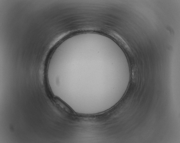 X0000116430436200912291911