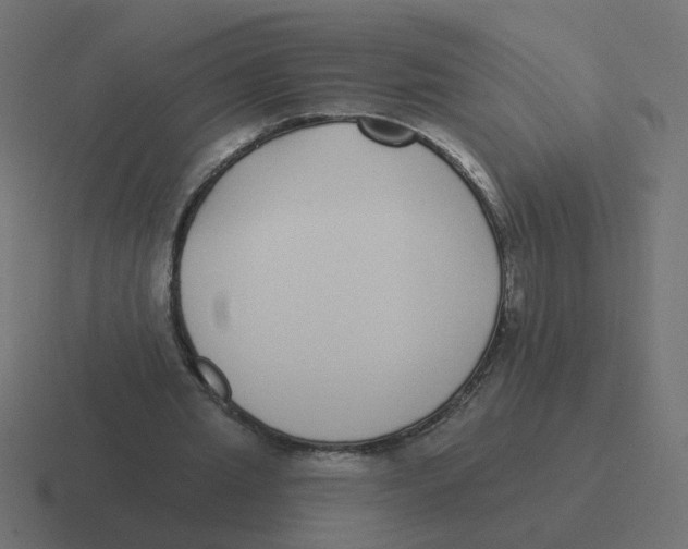 X0000116430437200912291911