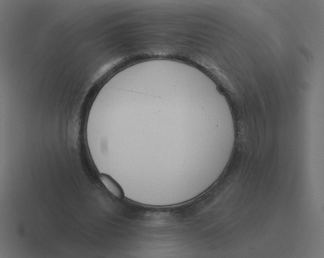 X0000116430440200912291911
