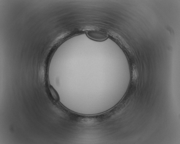 X0000116430444200912291911