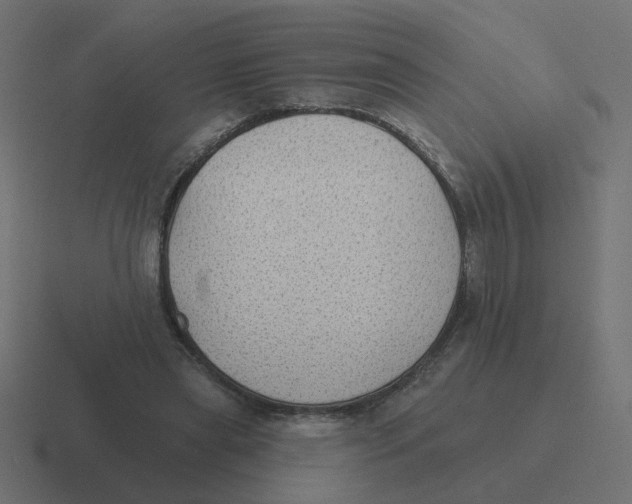 X0000116430445200912291911
