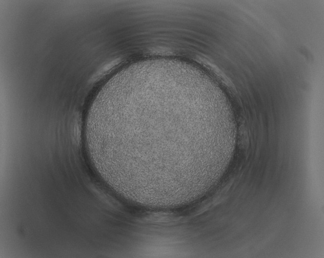 X0000116430446200912291911