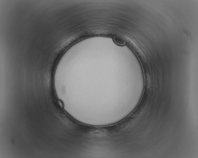 X0000116430447200912291911