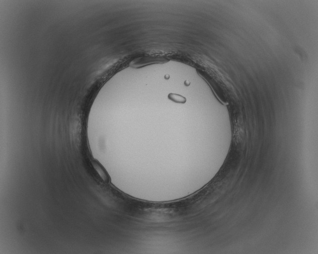 X0000116430448200912291911