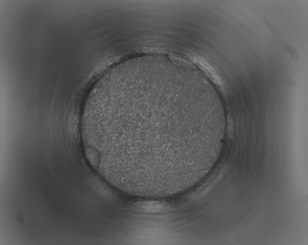 X0000116430449200912291911