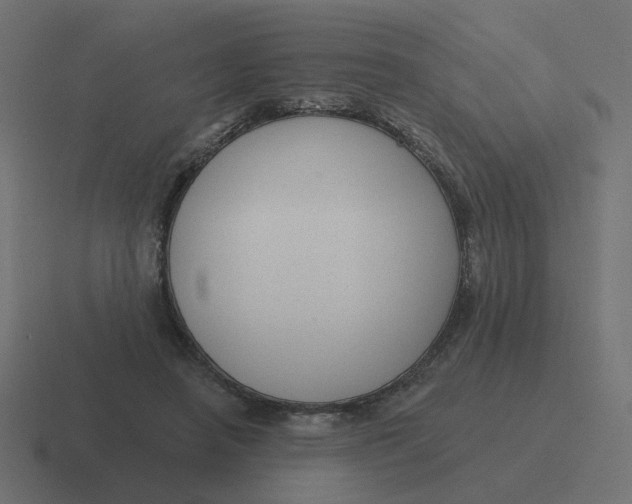 X0000116430450200912291911