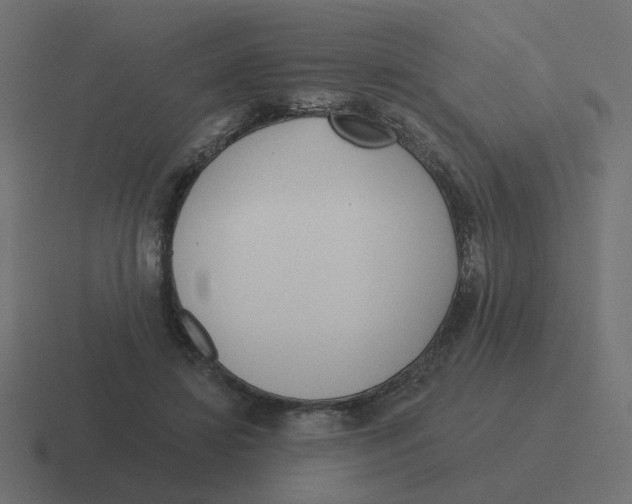 X0000116430452200912291911