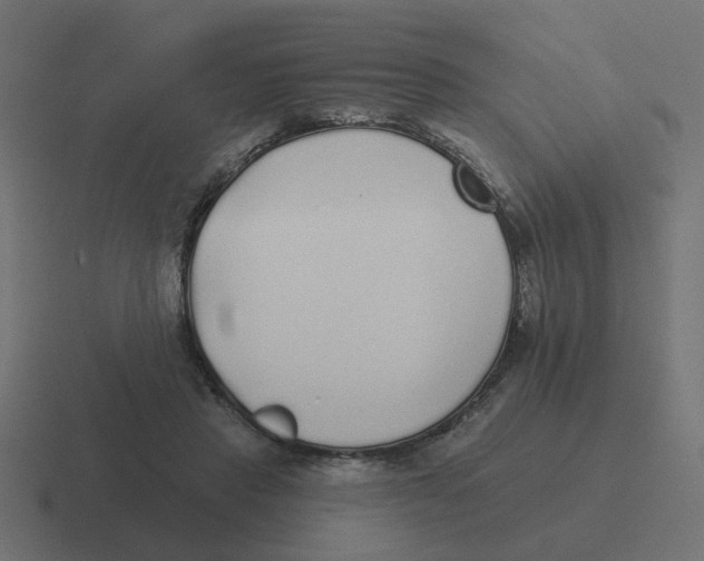 X0000116430453200912291911
