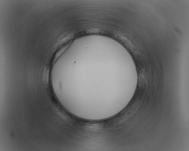X0000116430454200912291911