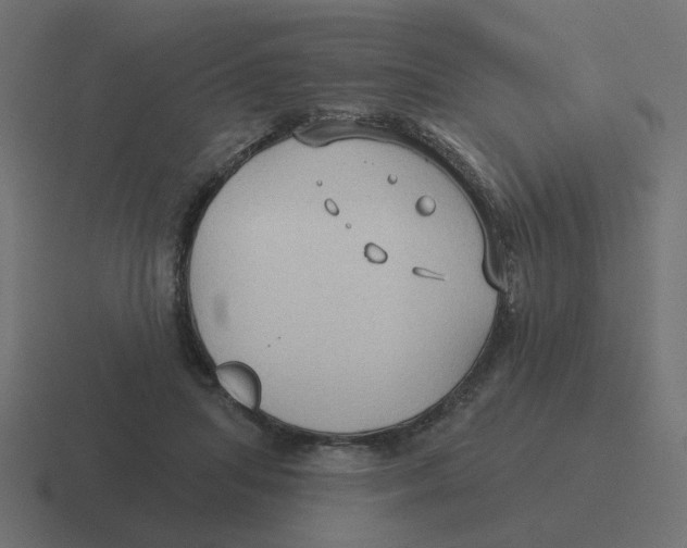 X0000116430455200912291911
