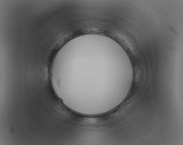 X0000116430457200912291911