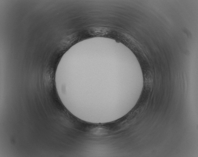 X0000116430460200912291911