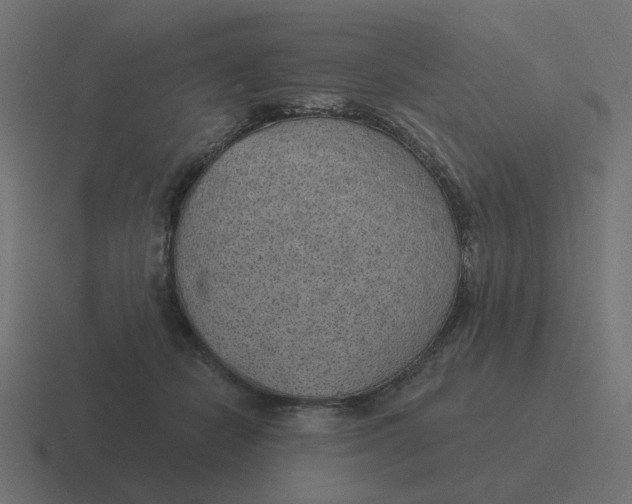 X0000116430462200912291911