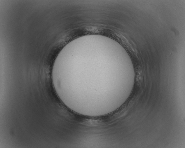 X0000116430466200912291911