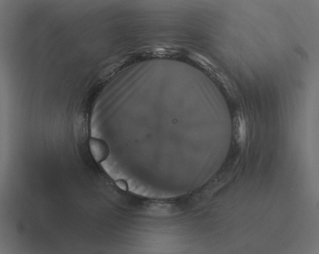 X0000116430471200912291912