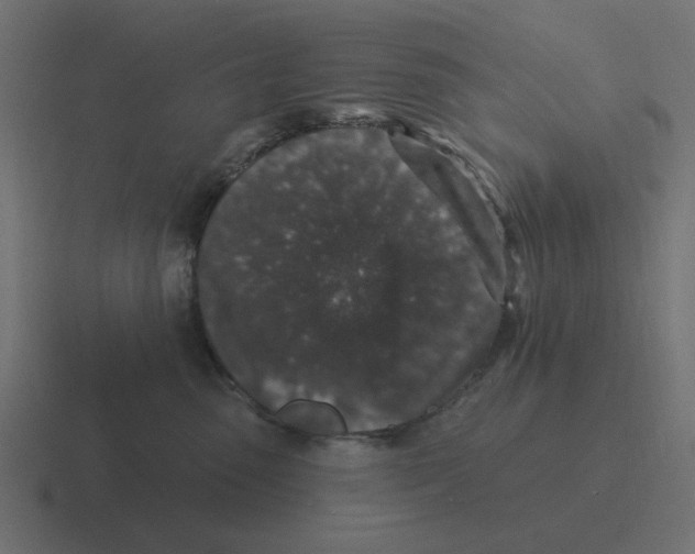 X0000116430475200912291912