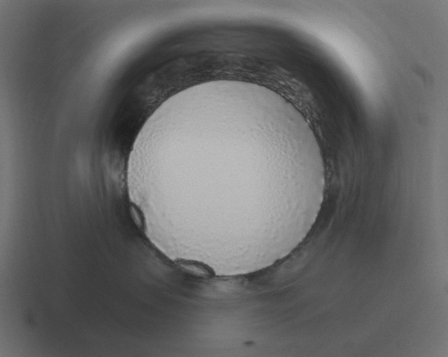 X0000116430479200912291912