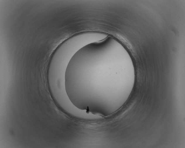 X0000116430481200912291911