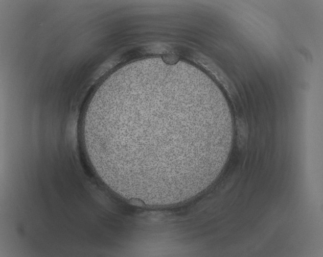 X0000116430482200912291911