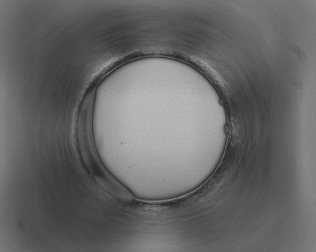 X0000116430487200912291911