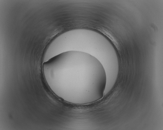 X0000116430489200912291911