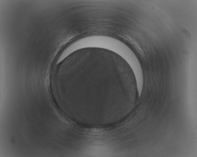 X0000116430496200912291911