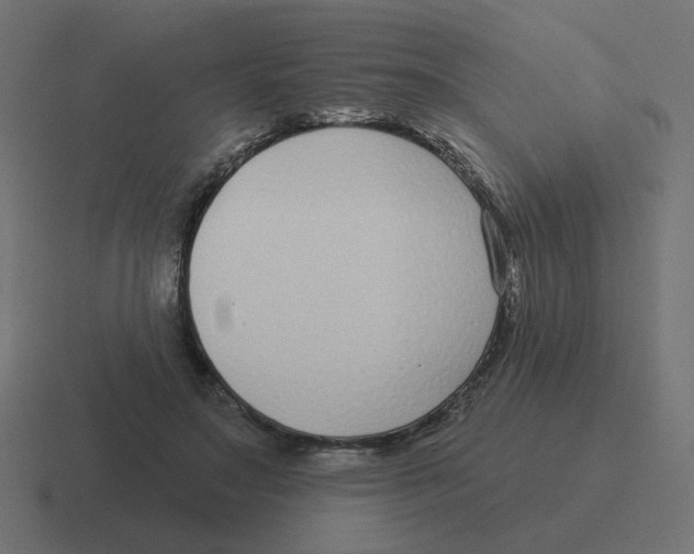 X0000116430499200912291911