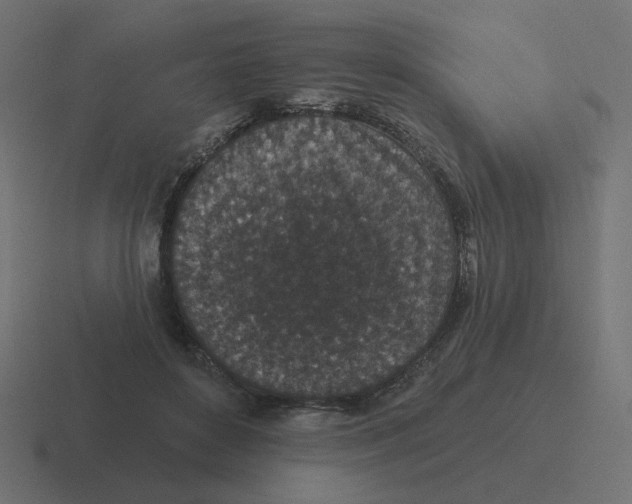 X0000116430504200912291911