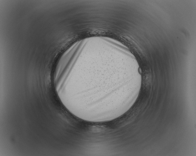 X0000116430508200912291911