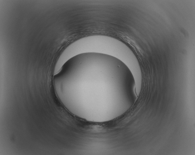 X0000116430509200912291911