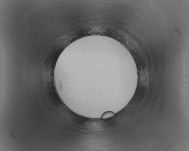 X0000116430514200912291911