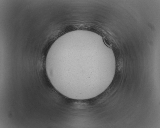 X0000116430515200912291911