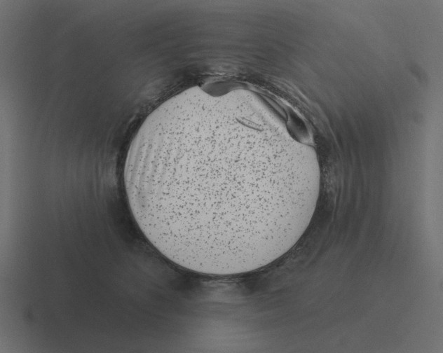 X0000116430516200912291911