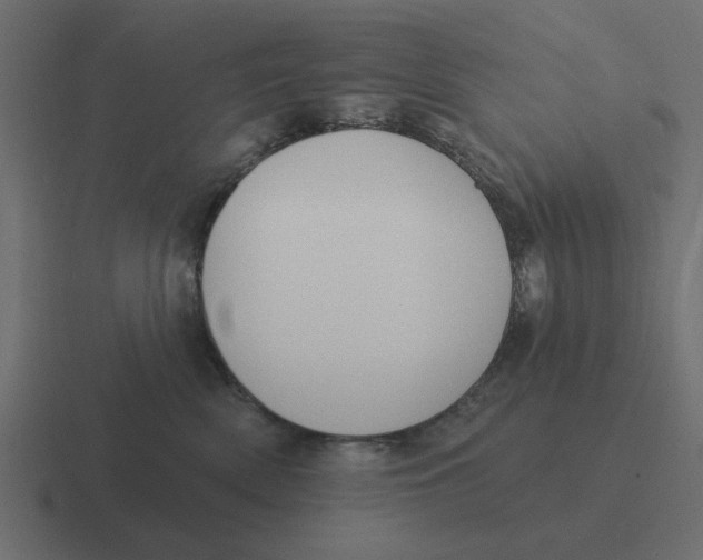 X0000116430522200912291911