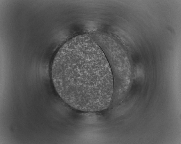 X0000116430524200912291910