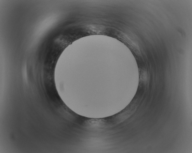 X0000116430526200912291910