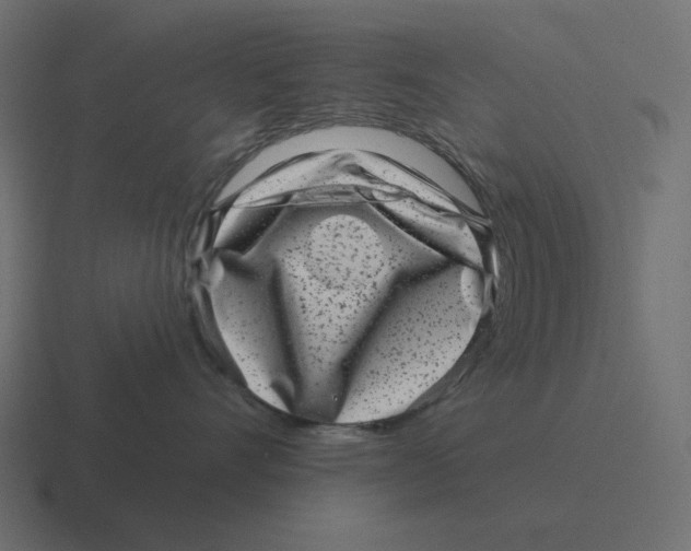 X0000116430528200912291910