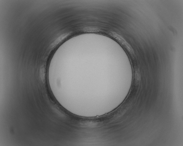 X0000116430533200912291910