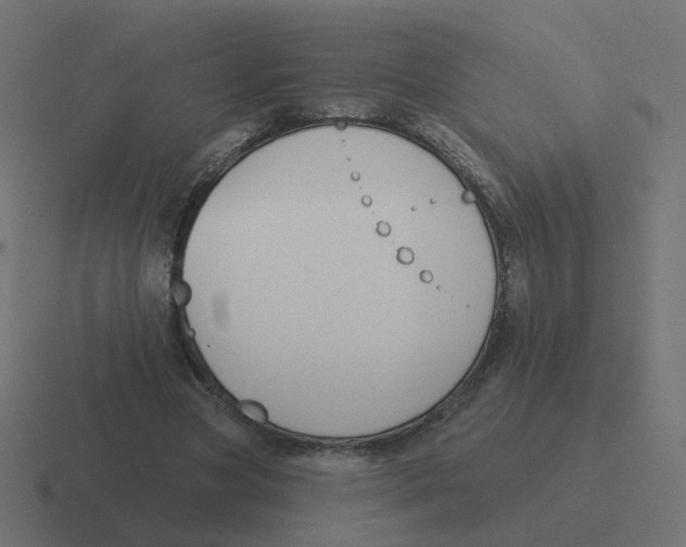 X0000116430537200912291910