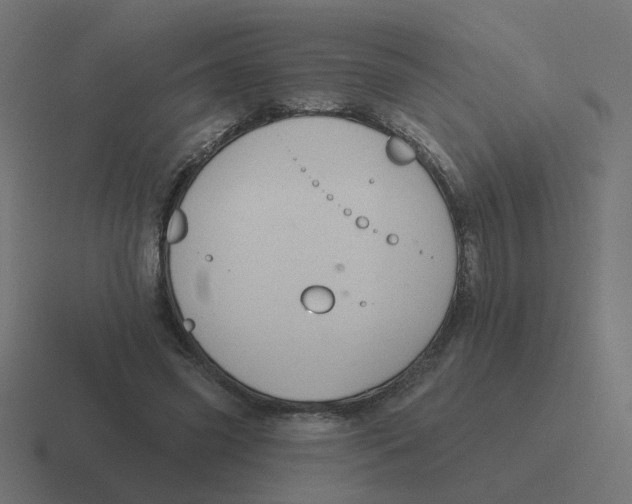 X0000116430541200912291910
