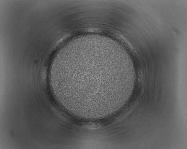 X0000116430542200912291910