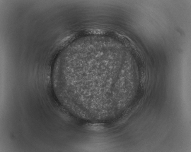 X0000116430553200912291910