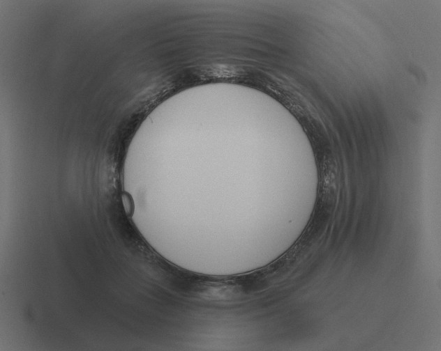 X0000116430555200912291910