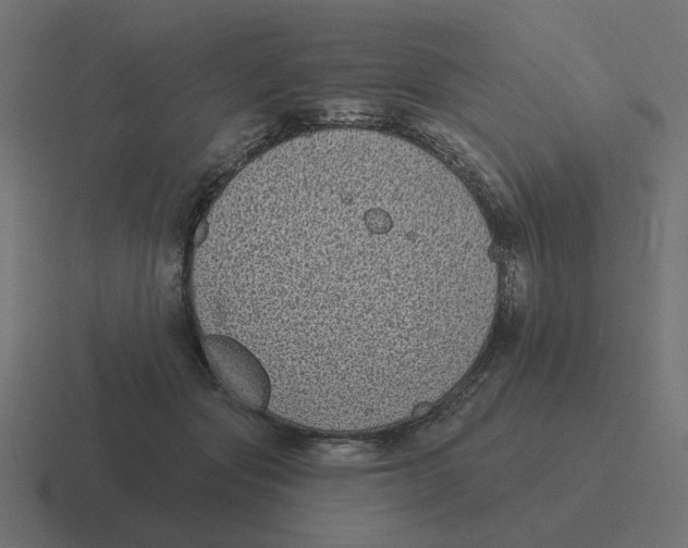 X0000116430557200912291910