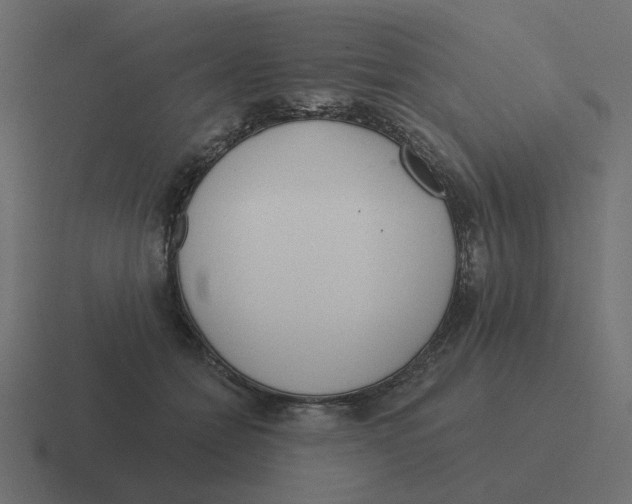 X0000116430558200912291910